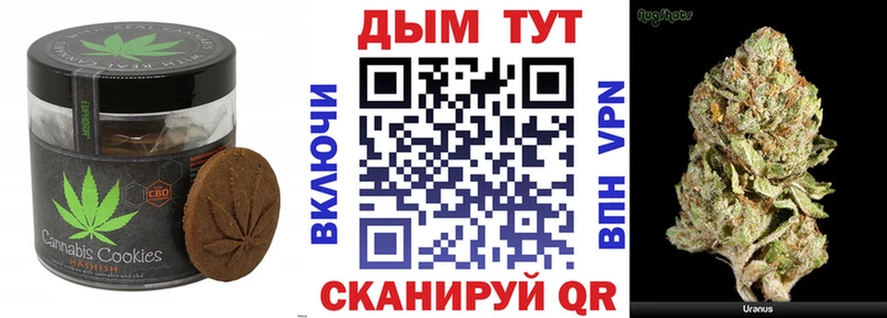 Купить где  Снежногорск  Canna-Cookies марихуана 