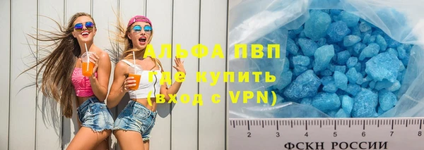 ECSTASY Ладушкин