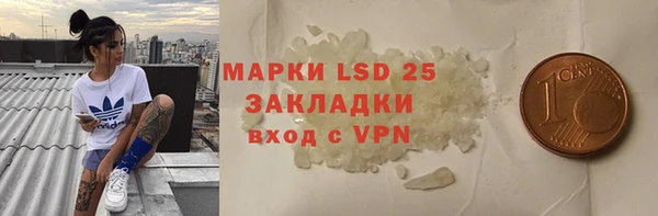 ECSTASY Ладушкин