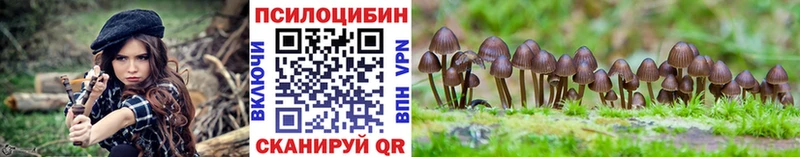Галлюциногенные грибы MAGIC MUSHROOMS  Купить  Снежногорск 