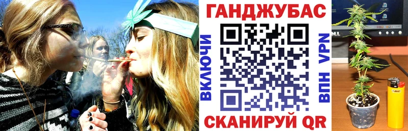 Купить  Снежногорск  Конопля семена 